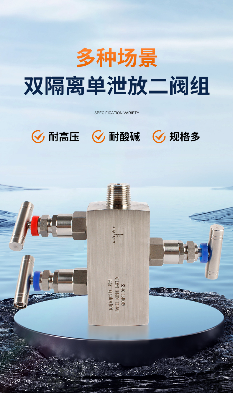 双隔离单泄放二阀组